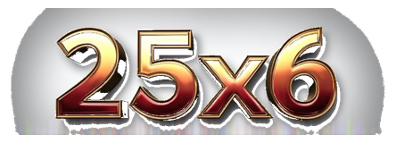 25x6 logo